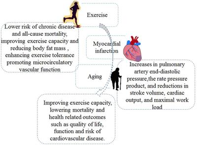 The Beneficial Role of Exercise Training for Myocardial Infarction Treatment in Elderly